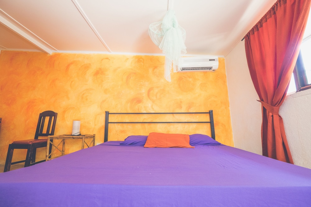 Pura Vida Hostel