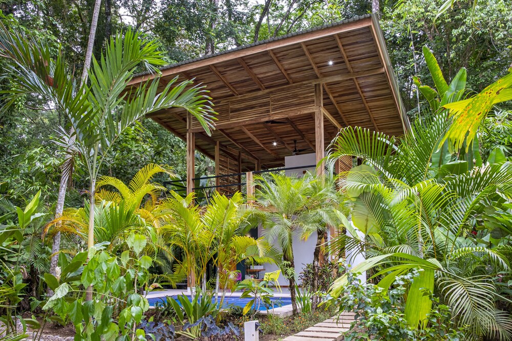 La Paz del Caribe