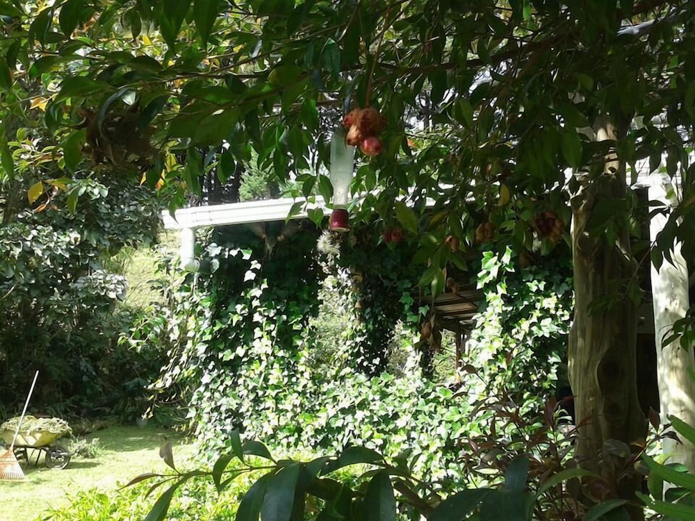 Eco Lodge Las Nubes
