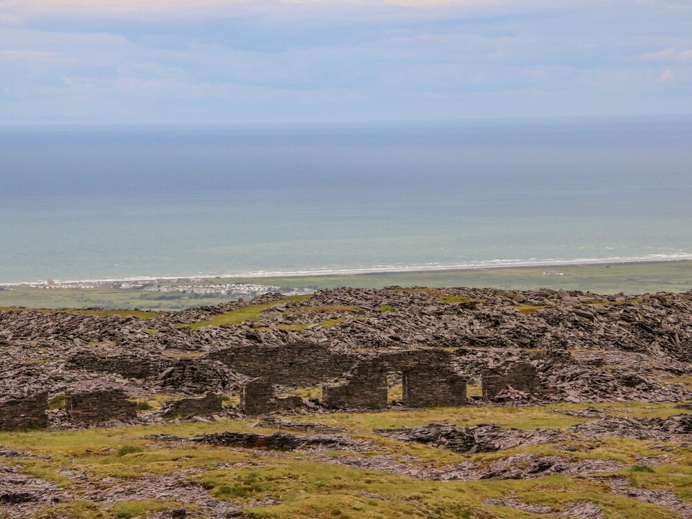 Bryn Derwen