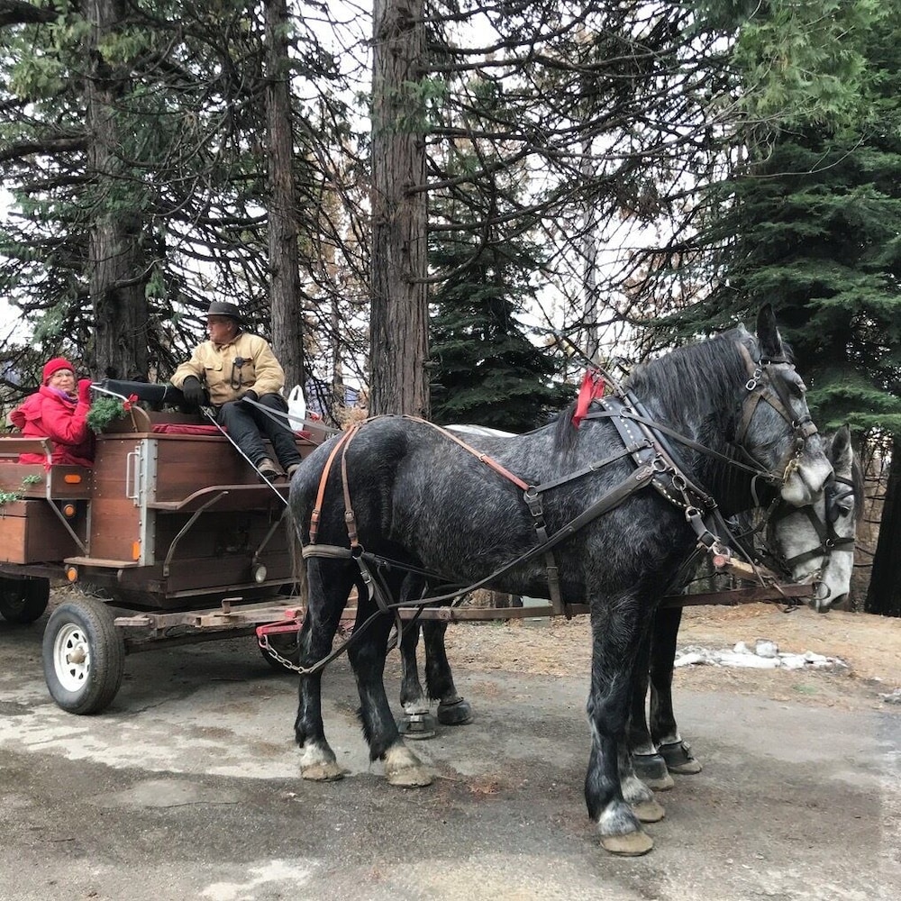 Yosemite Bug Rustic Mountain Resort