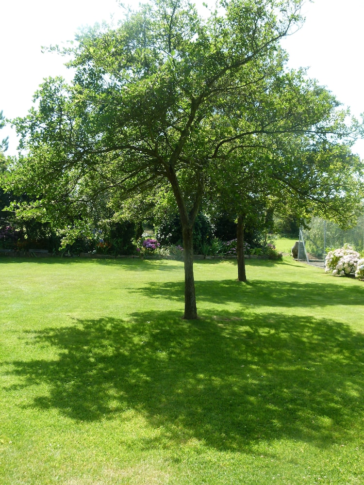 Photo 41