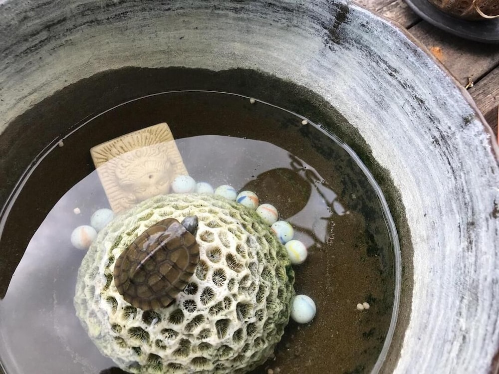 other