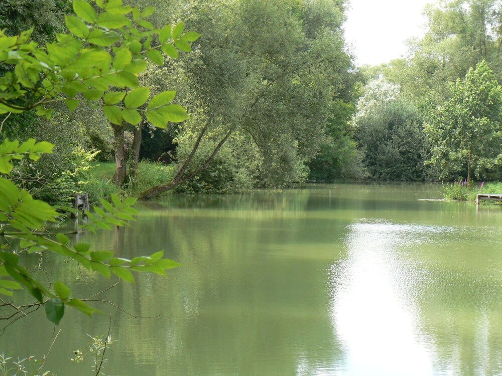 Photo 48