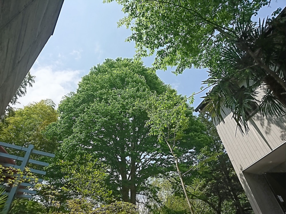 Photo 29