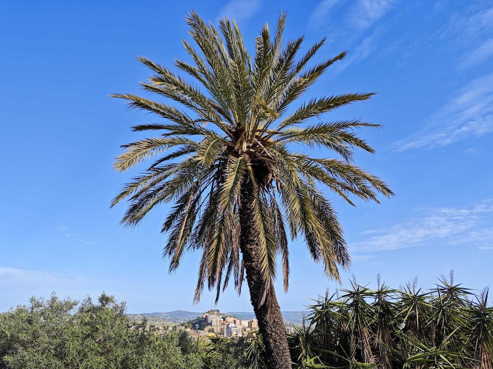 Villa Amoroso - Ospitalità Mediterranea