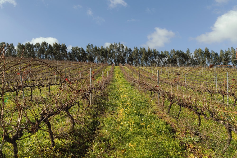 Quinta da Murnalha