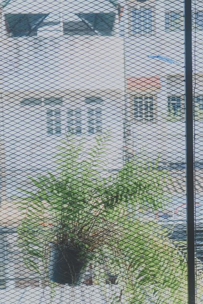 Chill Vibe Hostel