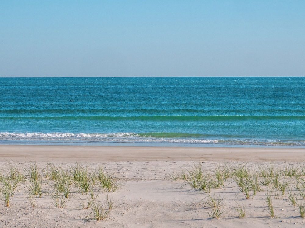 Blue Crab by Topsail Realty