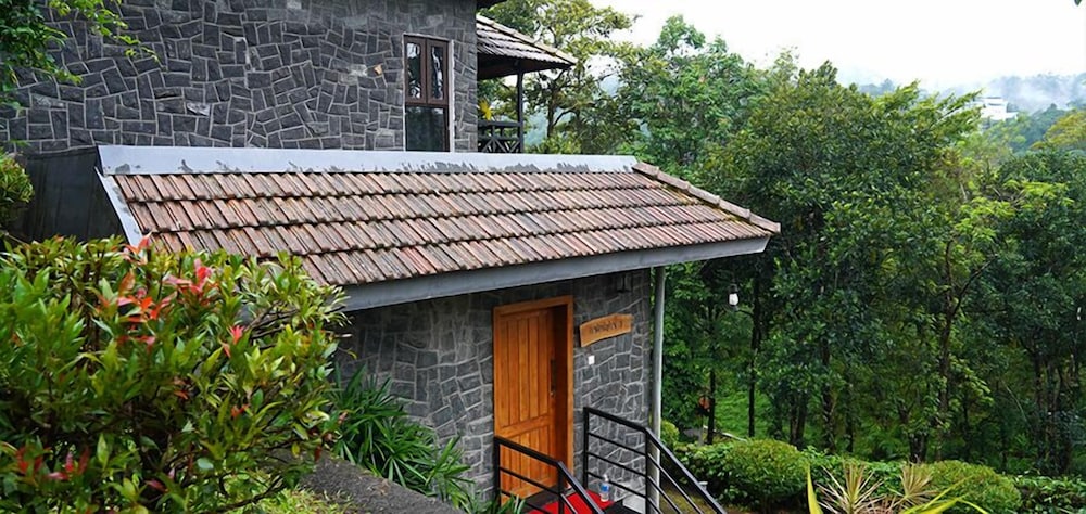 The Wild Trails Clarks Exotica Munnar