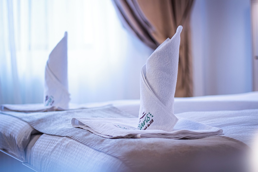 Hotel Claris Valiug