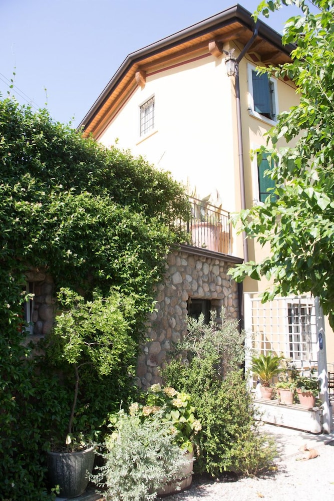 Photo 31