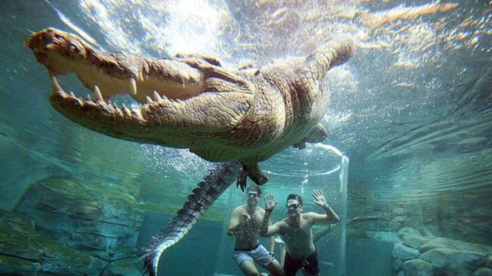 Zen Skytower Harbourview -exclusive 3br Family Apt - Image 3