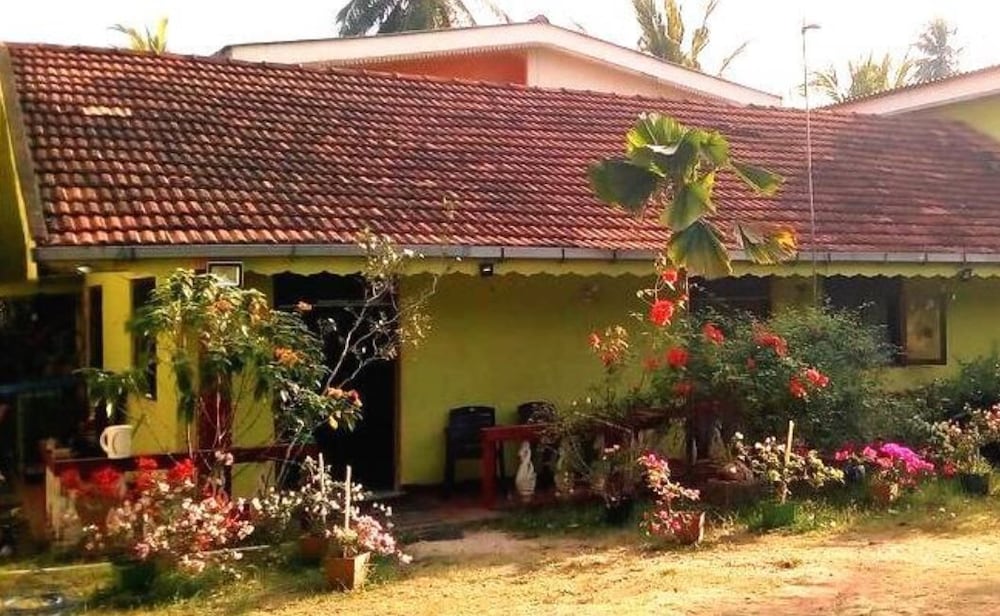 Saja Homestay view 2