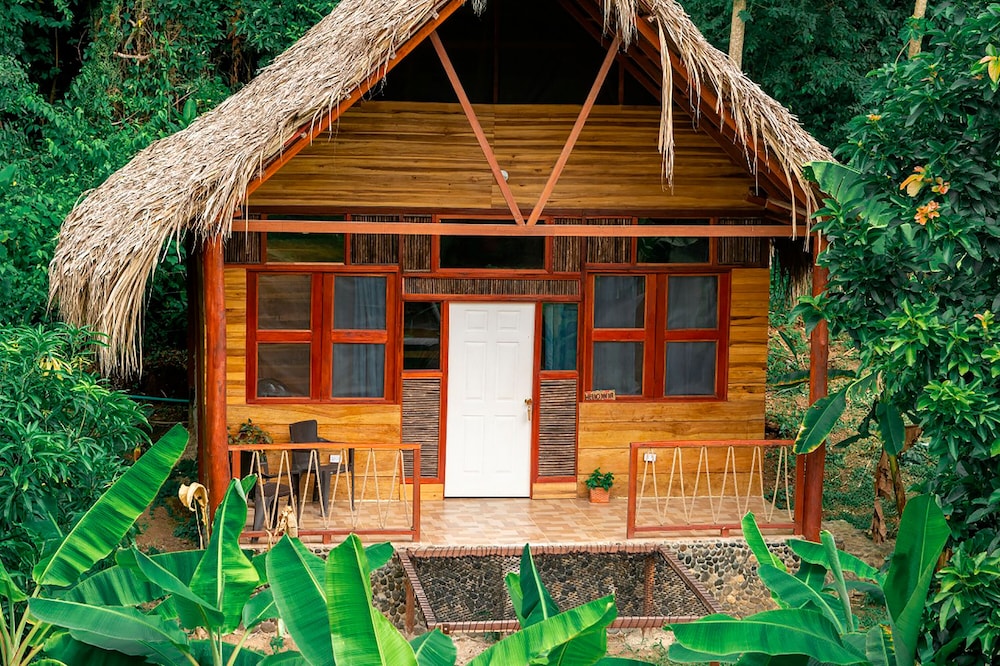 Magic Greeen Tayrona