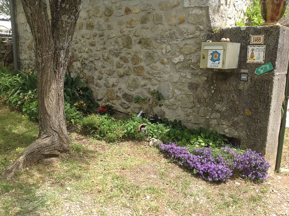 Photo 27