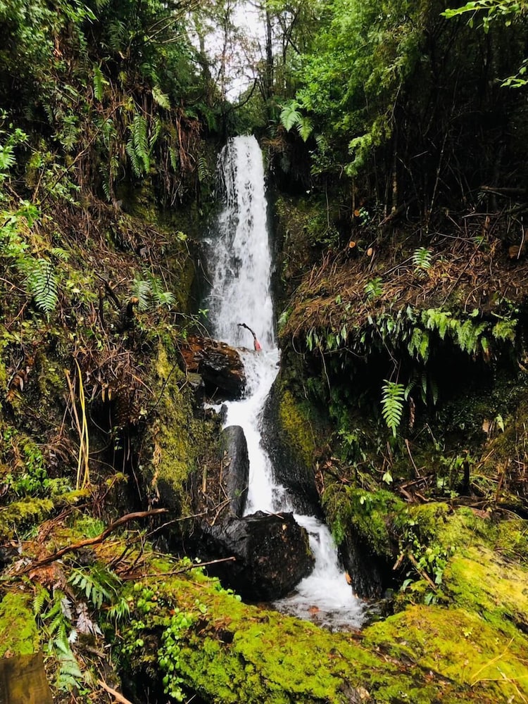 Cabañas Entre Saltos y Termas