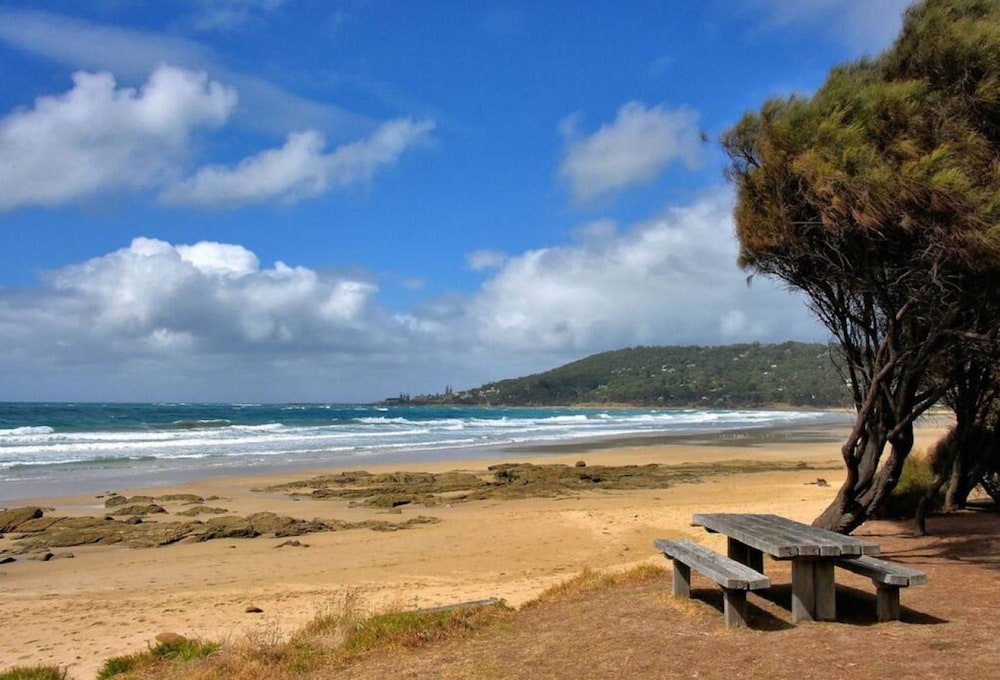 Groovy Log House Lorne Ocean View Log House Pet Friendly Freshly Renovated
