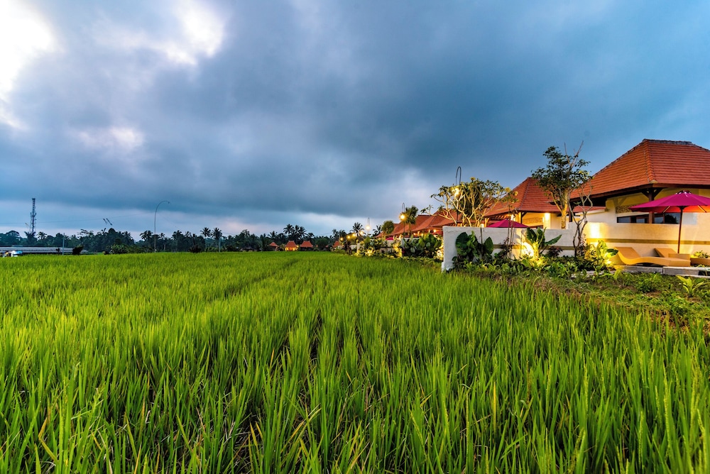 Akhsaya Villa, Sacred Wellness Retreat by Dhananjaya Hospitality