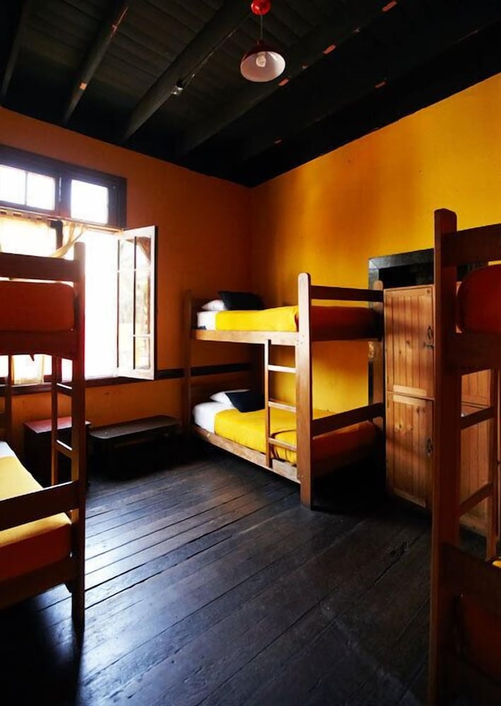 Flying Dog Hostel B&B