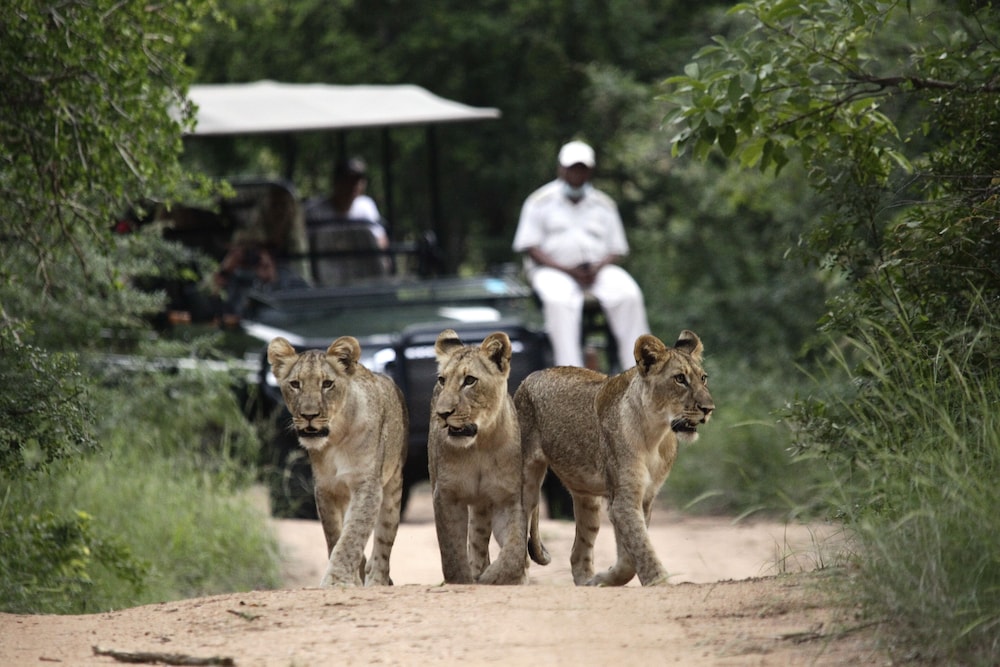 Karongwe - River Safari Lodge