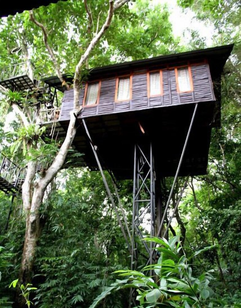Khao Sok Tree House