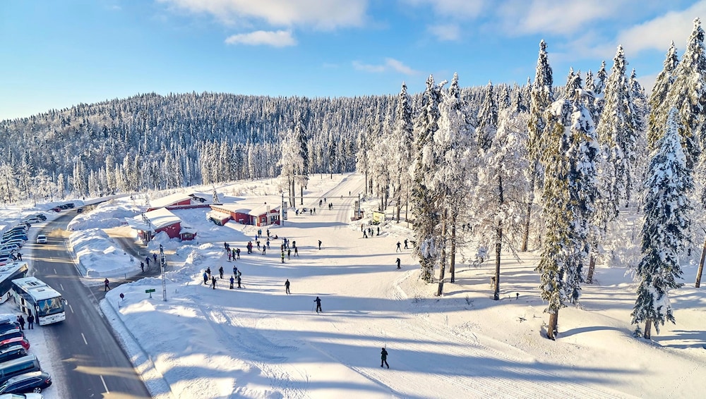Apartment in Langdorf Near Ski Trails