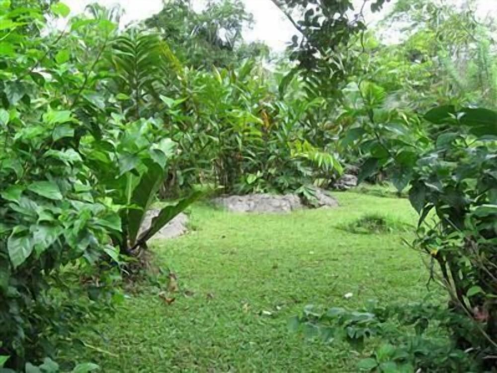 Photo 44