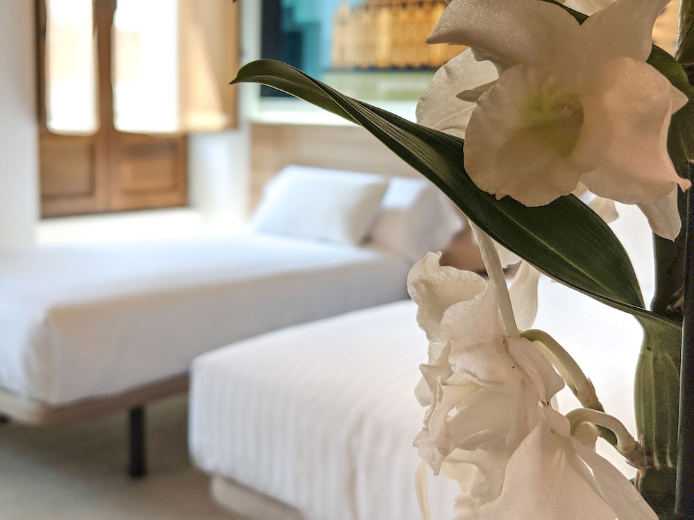 Valencia Vacations - Original Domino House Hotel - Property Image 33
