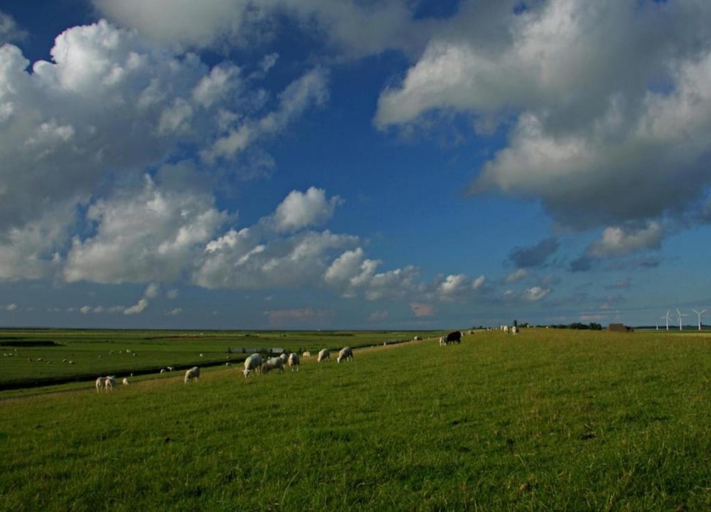 Holiday Home Near Wadden Sea Elfsteden Route