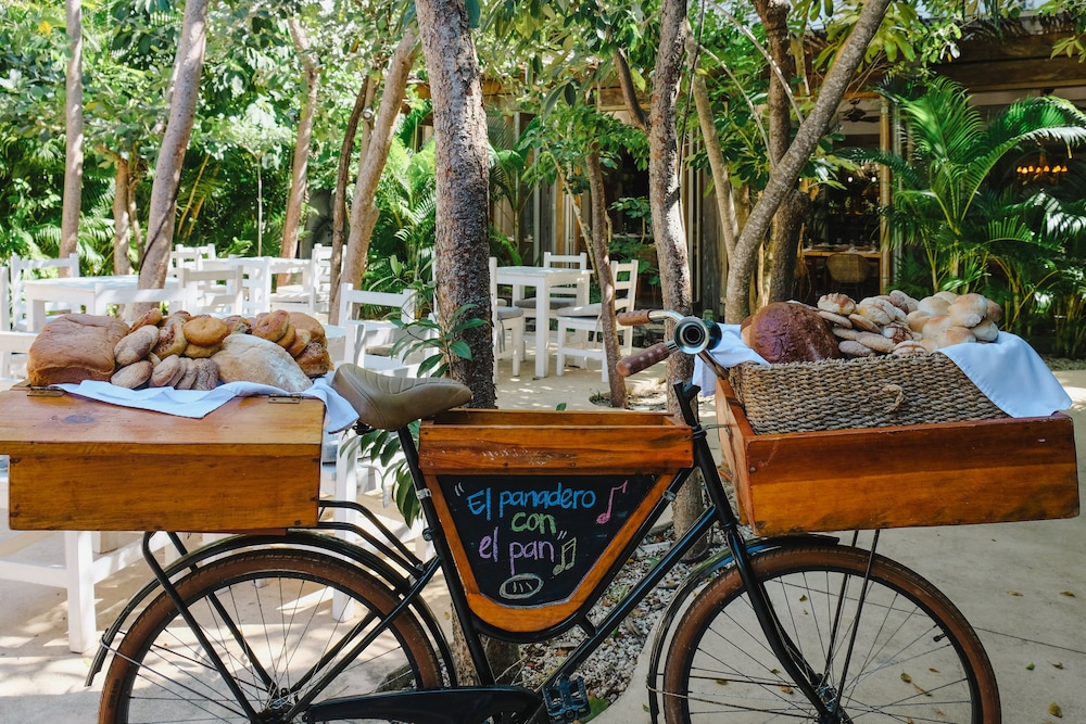 Kimpton Aluna Tulum, an IHG Hotel - Property Image 120