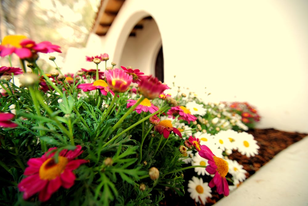 Hotel Ceiba Maria Cala Dor photo 5