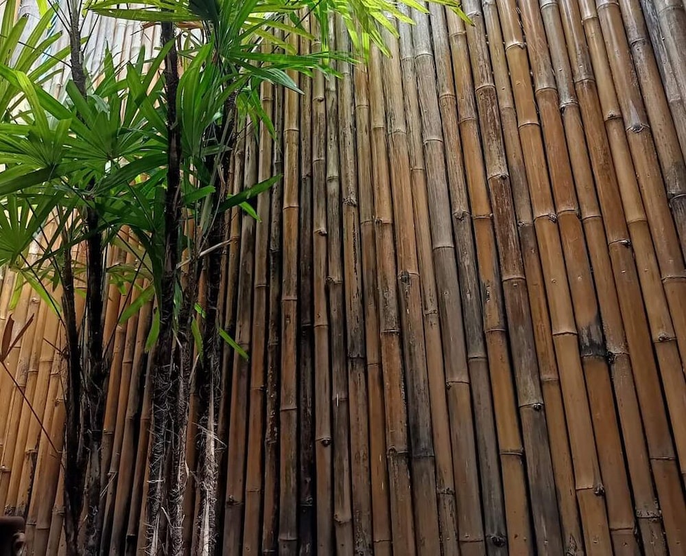 Bamboo Conservation Farm
