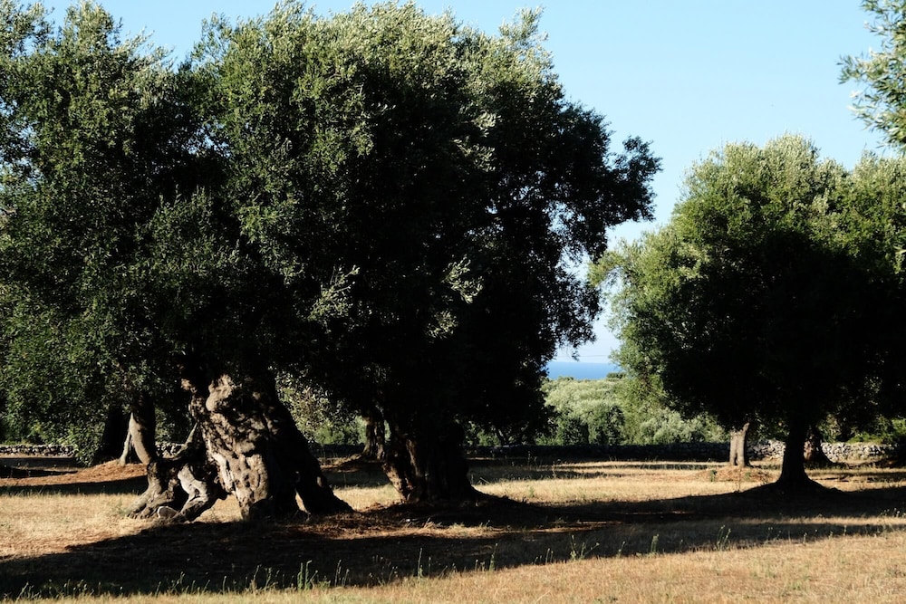 Dimora Il Calaprico by Wonderful Italy photo 5