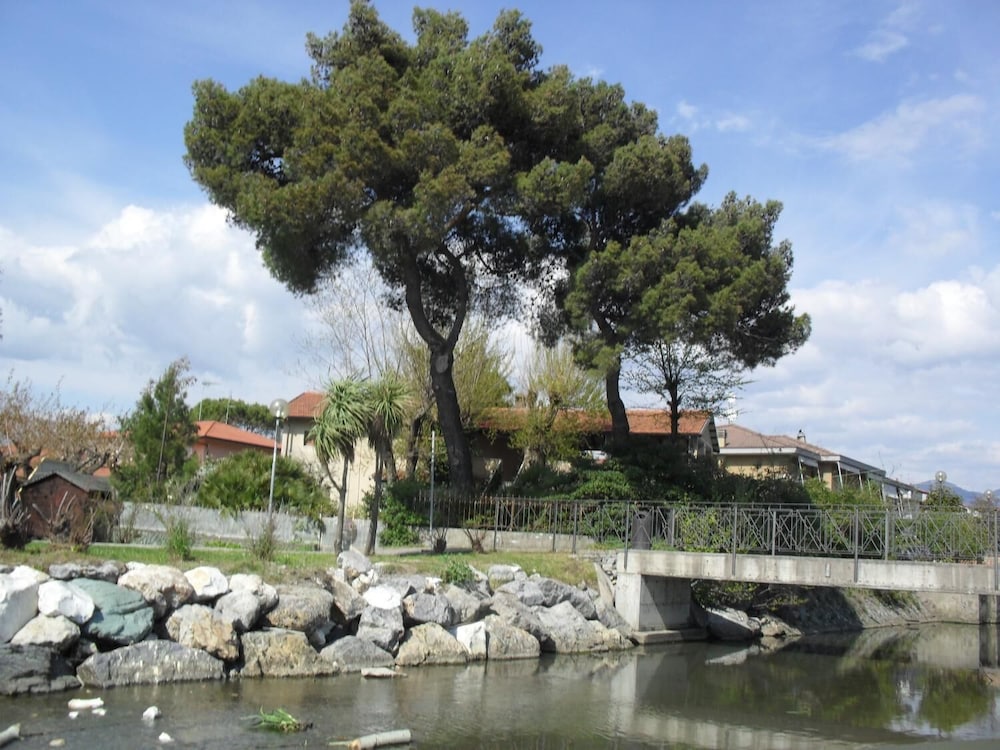 Photo 26