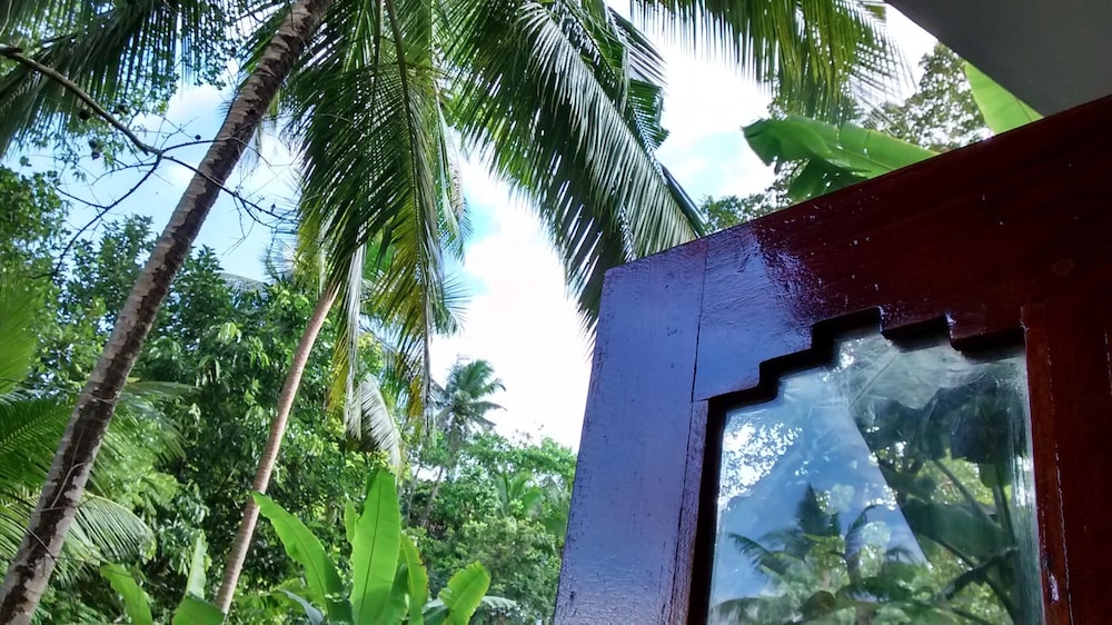 Jungleside House