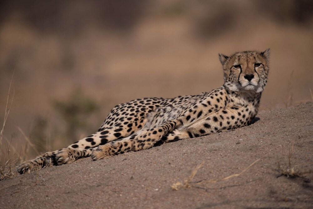 Ximuwu Safari Lodge