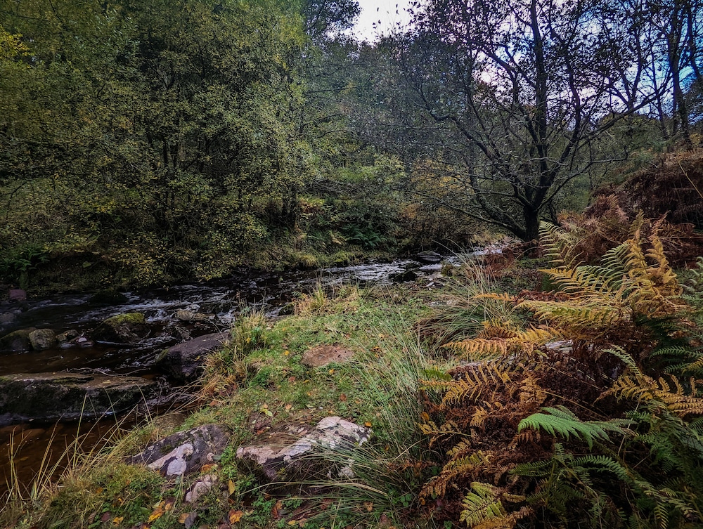 Mill Lodge Brecon Beacons