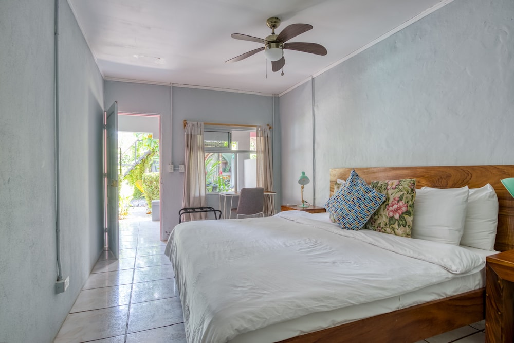 Selina Jaco - Hostel