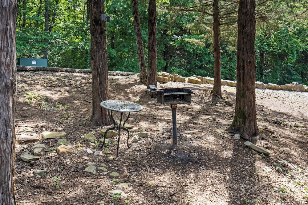 Baldknobber Ridge Escape - West Branson Cabin!