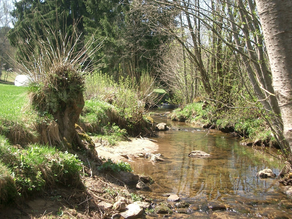Photo 24