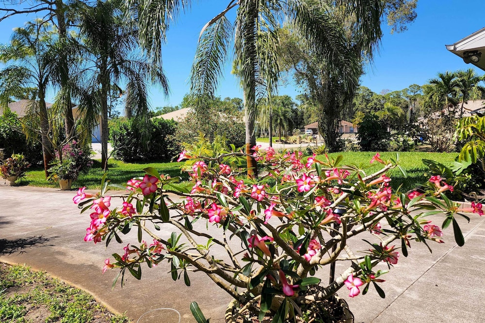 Updated Fort Myers Escape w/ Screened Lanai!
