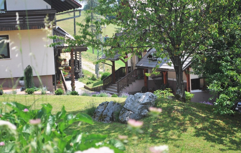 Photo 47