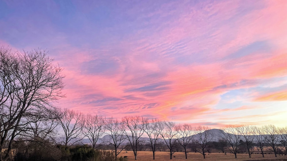 Molweni Kamberg Valley Bed and Breakfast