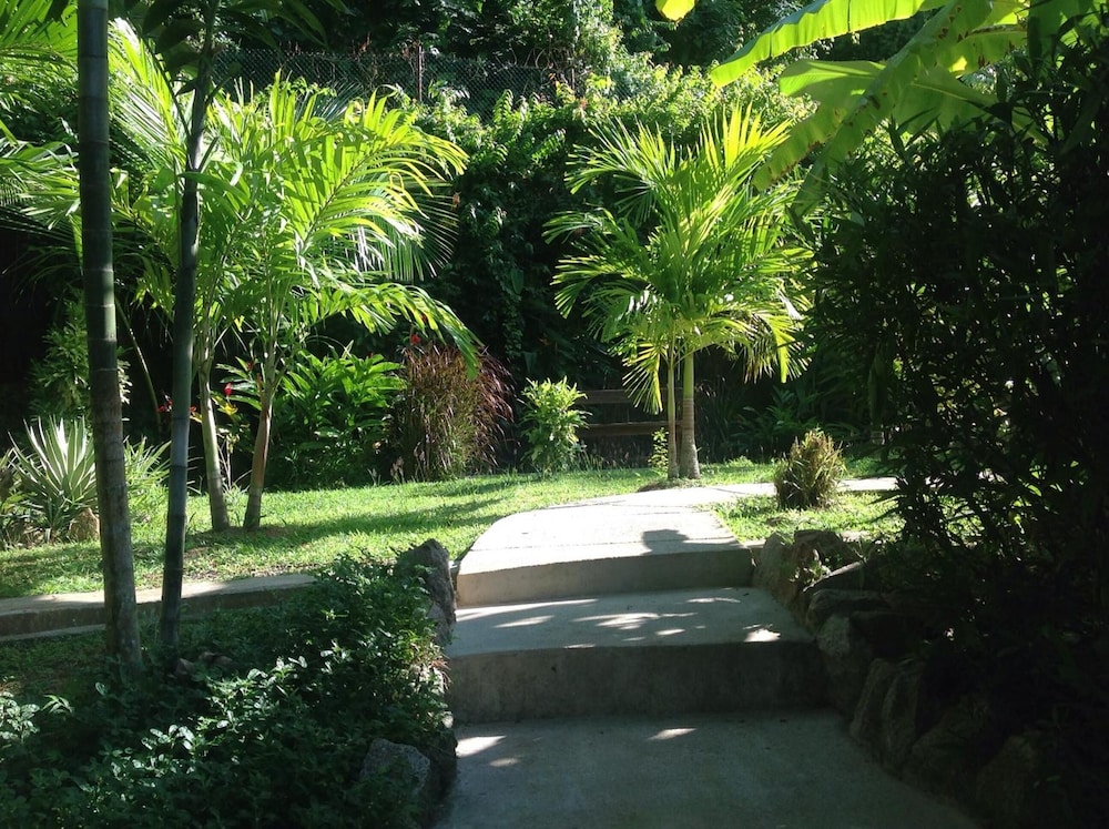 A Peace in Paradise