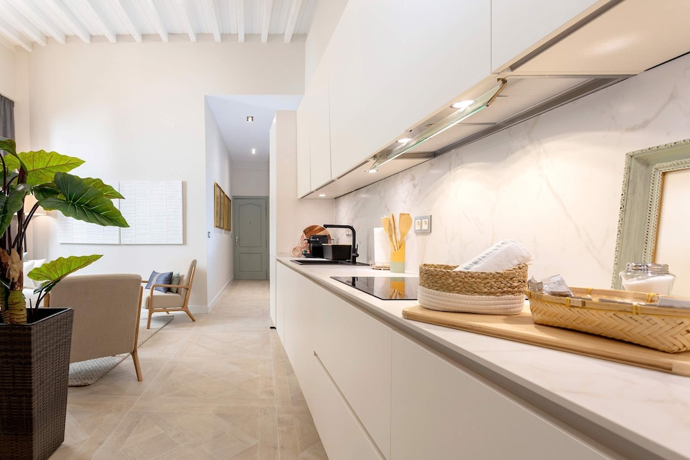 Luxury Apartment in Malaga Plaza del Obispo