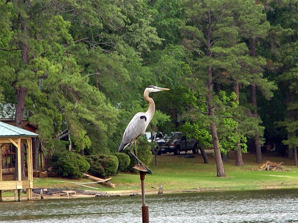 Frankston Home W/deck Fishing on Lake Palestine! - Property Image 20