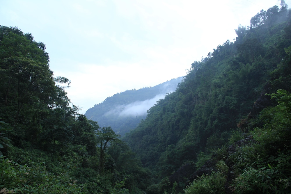 Goomtee Tea Garden Retreat