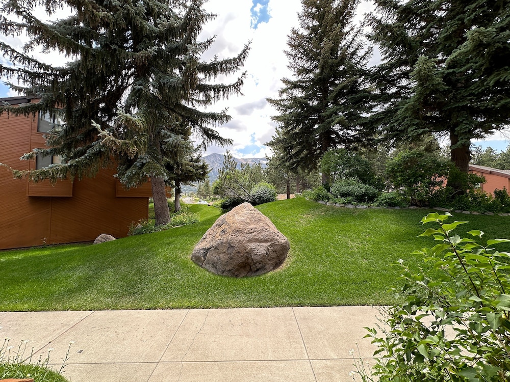 Photo 34