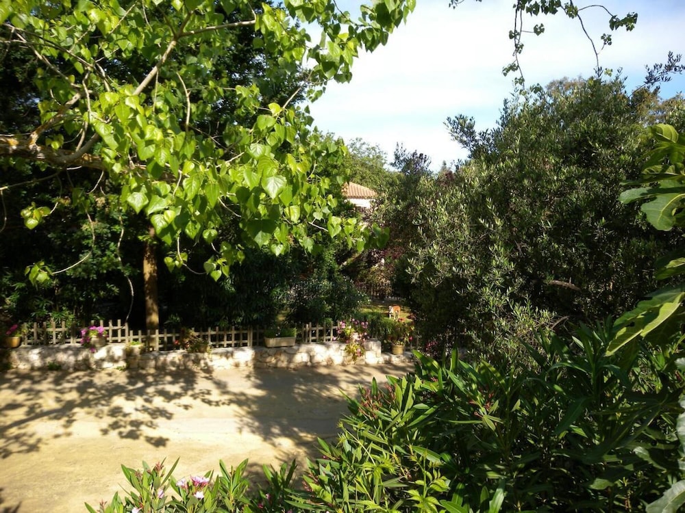 Jianni's Villa - Stone Villa in the Greenery!! view 4